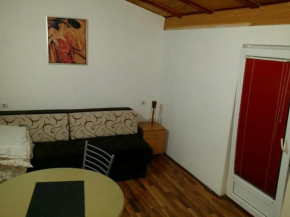 Apartment Teodor  Сокобаня